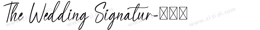 The Wedding Signatur字体转换
